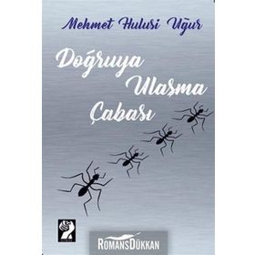 Doğruya Ulaşma Çabası - Mehmet Hulusi Uğur