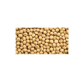 Dökme Bakliyat 1 kg Soya Fasulyesi