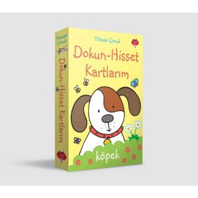 Dokun Hisset Kartlarım - Rachel Wells