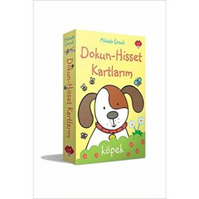 Dokun Hisset Kartlarım - Rachel Wells