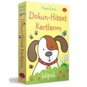 Dokun Hisset Kartlarım - Rachel Wells