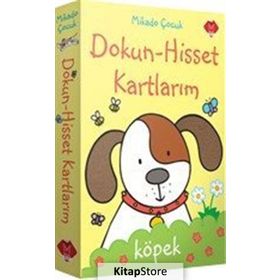 Dokun Hisset Kartlarım - Rachel Wells