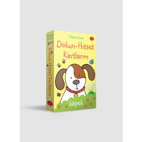Dokun Hisset Kartlarım - Rachel Wells