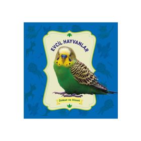 Dokun ve Hisset – Evcil Hayvanlar - 0-6 Yaş Yayınları