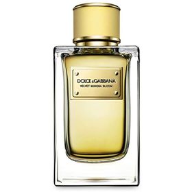 Dolce & Gabbana Velvet Mimosa Bloom Edp 150 ml Kadın Parfüm