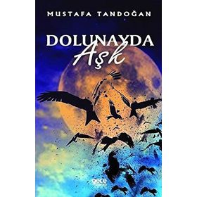 DOLUNAYDA AŞK - NORA ROBERTS