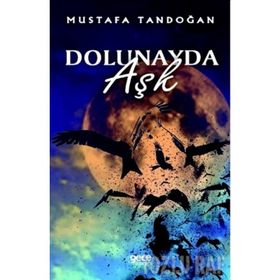 DOLUNAYDA AŞK - NORA ROBERTS