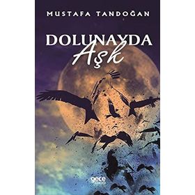 DOLUNAYDA AŞK - NORA ROBERTS