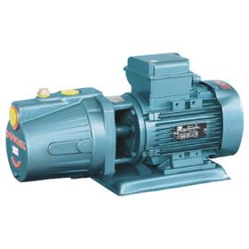 Domak JET150 1.5hp 220 Volt Döküm Gövdeli Jet Pompa