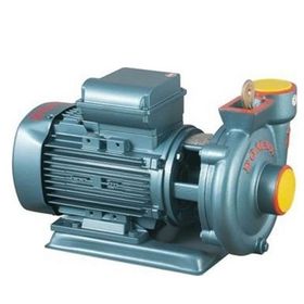Domak SLG 2 1.5 HP Sulama Pompası
