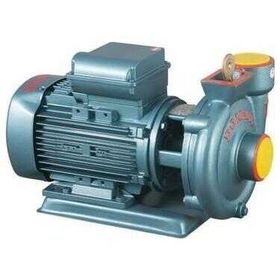 Domak SLG2 2HP 380 Volt 2 Çıkışlı Santrifüj Pompa