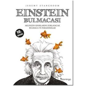 Domingo Yayınevi Einstein Bulmacası 1
