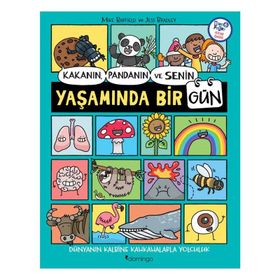 Domingo Yayınevi Kakanın Pandanın ve Senin Yaşamında Bir Gün