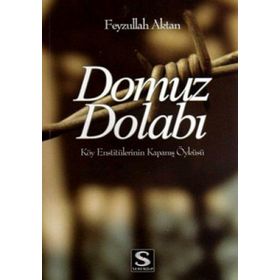 Domuz Dolabı - Feyzullah Aktan