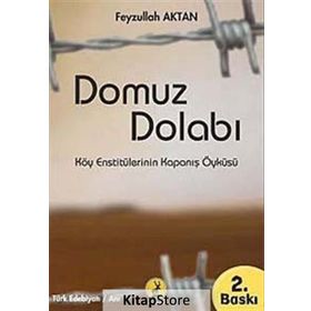 Domuz Dolabı - Feyzullah Aktan