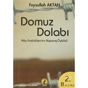 Domuz Dolabı - Feyzullah Aktan