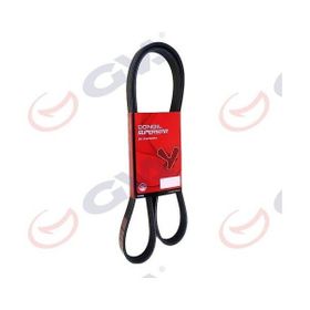 Dongil 6PK1110 Partner Citroen-VW-Honda Kanallı Kayış