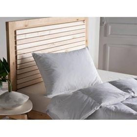 Doqu Home Kaz Tüyü 50x70 cm Yastık