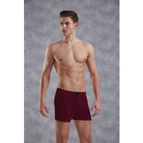 Doreanse 1511 Turkuaz Erkek Boxer