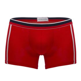 Doreanse 1713 Erkek Boxer