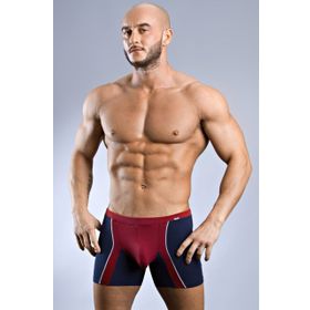 Doreanse 1720 Erkek Boxer