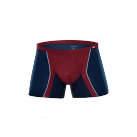 Doreanse 1720 Erkek Boxer