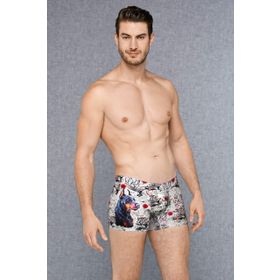 Doreanse 1808 Baskılı Erkek Boxer