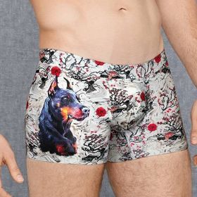 Doreanse 1808 Baskılı Erkek Boxer