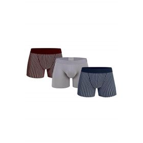 Doreanse 1867 Modal Lacivert Bordo Gri 3'lü Erkek Boxer