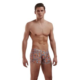 Doreanse 1895 Baskılı Boxer