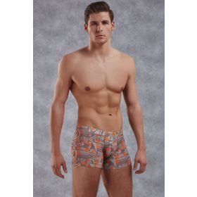 Doreanse 1895 Baskılı Boxer