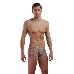 Doreanse 1895 Baskılı Boxer