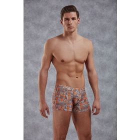 Doreanse 1895 Baskılı Boxer
