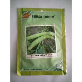 Dörtbudak 10 gr Bt Ege Acur (Hıttı) Tohumu