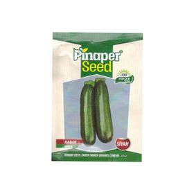 Dörtbudak 10 gr Pin Siyah Kabak Tohumu