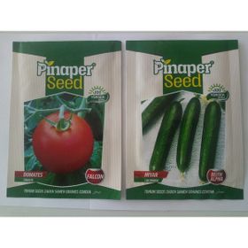 Dörtbudak 10 gr Pinaper 2 Li Set Marul Maydanoz Tohumu