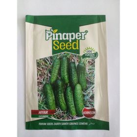 Dörtbudak 10 gr Pinaper Badem Acur Tohumu
