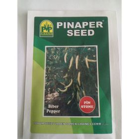 Dörtbudak 10 gr Pinaper Pin Stone Biber Tohumu