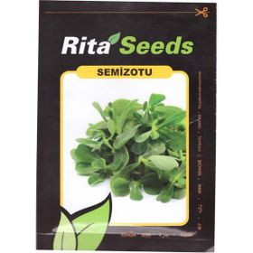 Dörtbudak 10 gr Rita Semizotu Tohumu