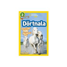 Dörtnala - Atlarla İlgili 10 Eğlenceli Bilgi - 3 Seviye - Beta Kids Yayınları