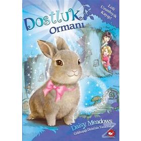 Dostluk Ormanı-1 - Loli Uzunbıyık Kayıp! - Daisy Meadows