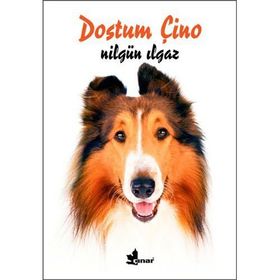 DOSTUM ÇİNO - NİLGÜN ILGAZ