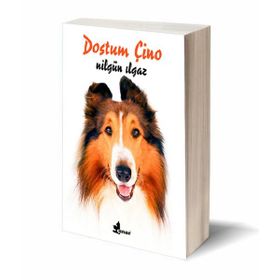 DOSTUM ÇİNO - NİLGÜN ILGAZ