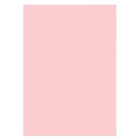 Double A 25'li A4 80 gr Pastel Pembe Renkli Fotokopi Kağıdı