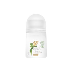 Dove Pouvoir Des Plantes %99 Doğal 24H 50 ml Kadın Roll-On Deodorant