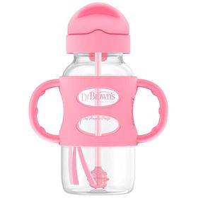 Dr. Browns 270 ml Pipetli Milestones Sippy Suluk
