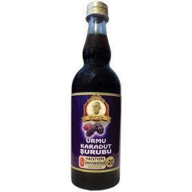 Dr Carob 100 ml Karadut Şurubu