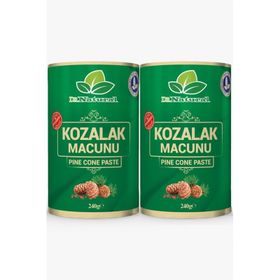 Dr. Natural 240 gr Çam Kozalağı Macun
