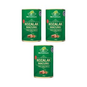 Dr. Natural 240 gr Çam Kozalağı Macun