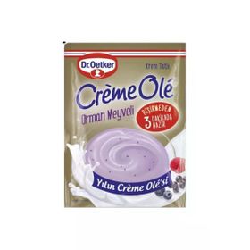 Dr. Oetker 110 gr Orman Meyveli Creme Ole